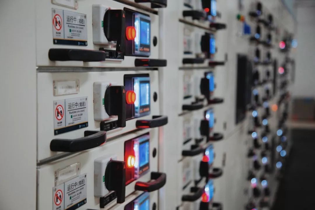 走，带你去看黄家湖畔的“蓝马甲”