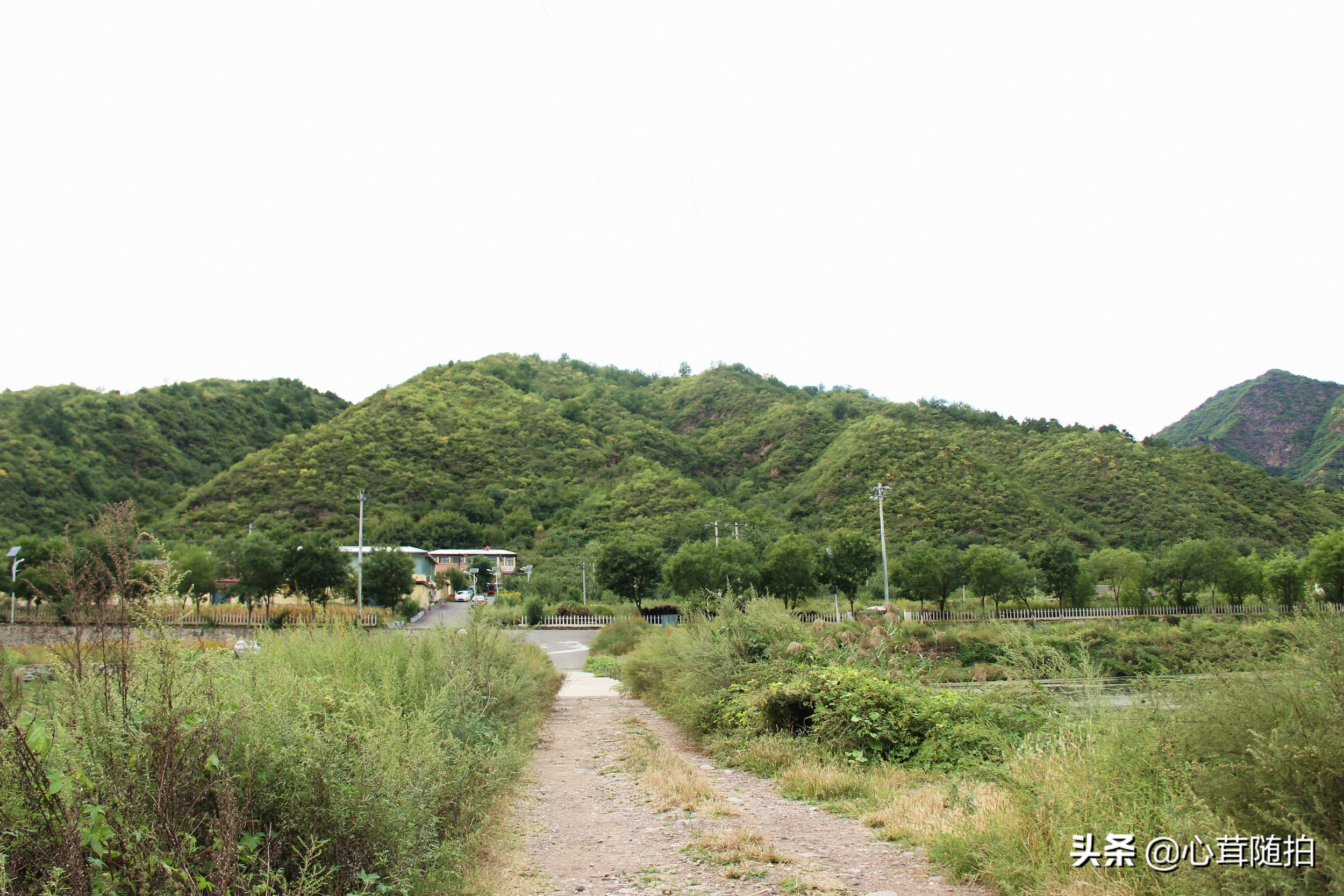 自驾白河湾,白河湾自然风景区自驾