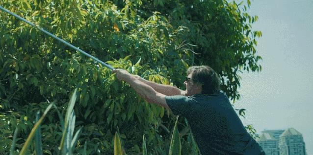 hbo又出新剧果然全程高能,hbo新剧领地