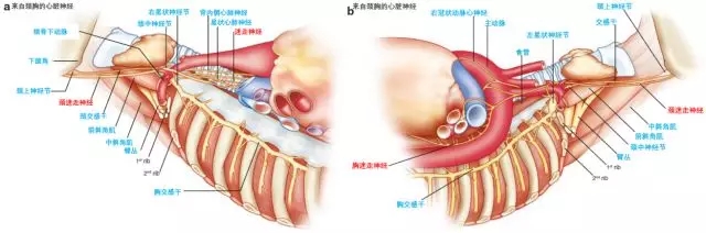 68岁老人打嗝4天，谁都没想到是心梗！医生说有这些症状也要当心