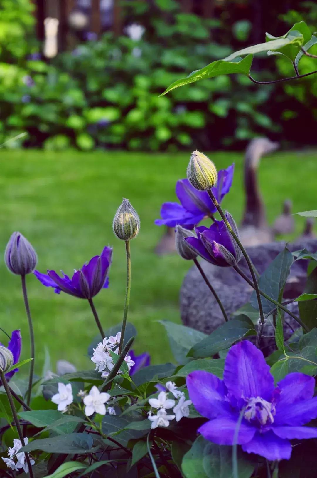 她40岁之前忙成狗，40岁之后在上海买房隐居