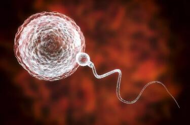 试管婴儿要问医生什么,试管婴儿女性都需要经历什么