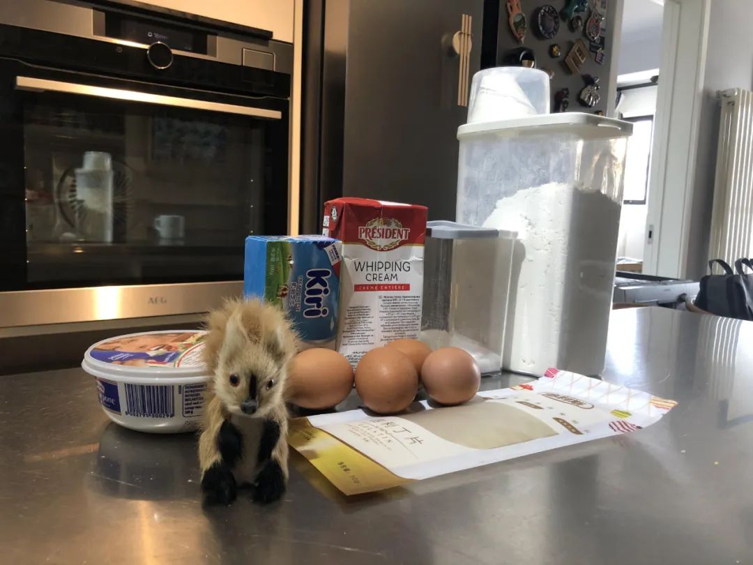 真正好用的蒸汽烤箱,最新款蒸汽烤箱