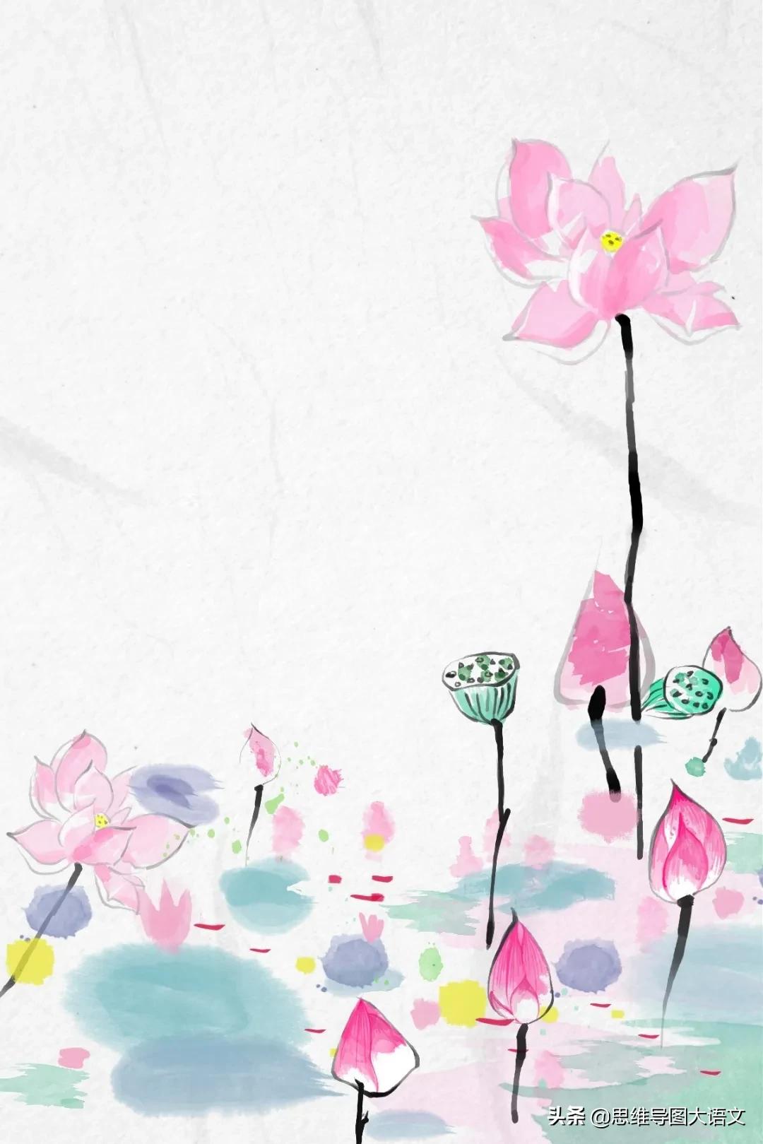 描写荷花的句子优美诗句,描写荷花的作文300字三年级的