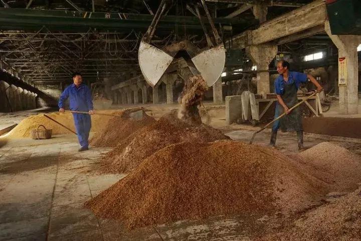 河南杜康酒业官网,豫酒振兴宝丰酒厂