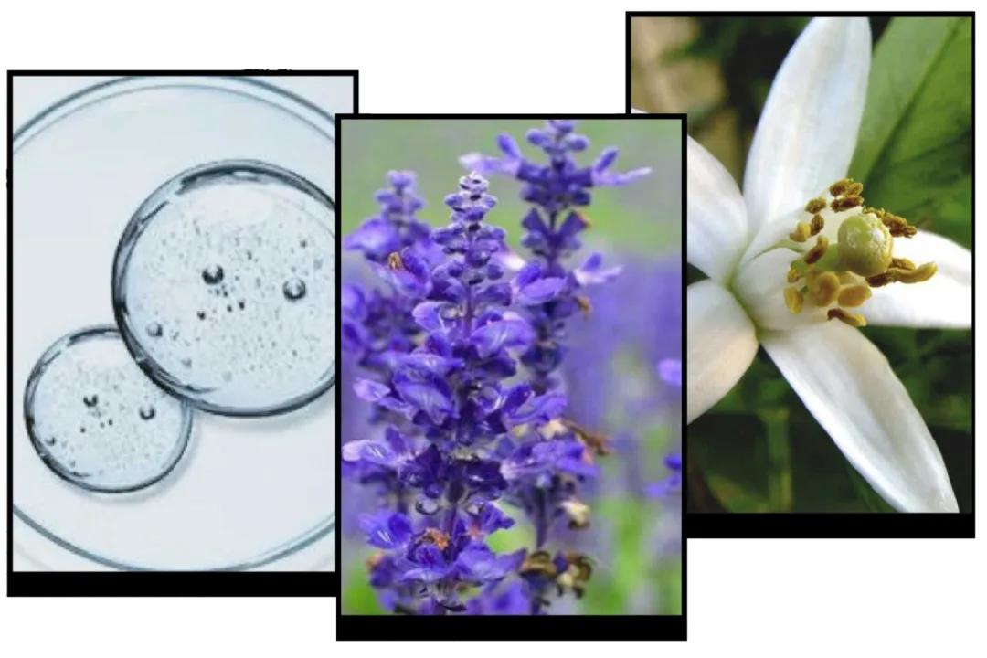 最好用的水乳没有之一,最好用的水乳套装排名