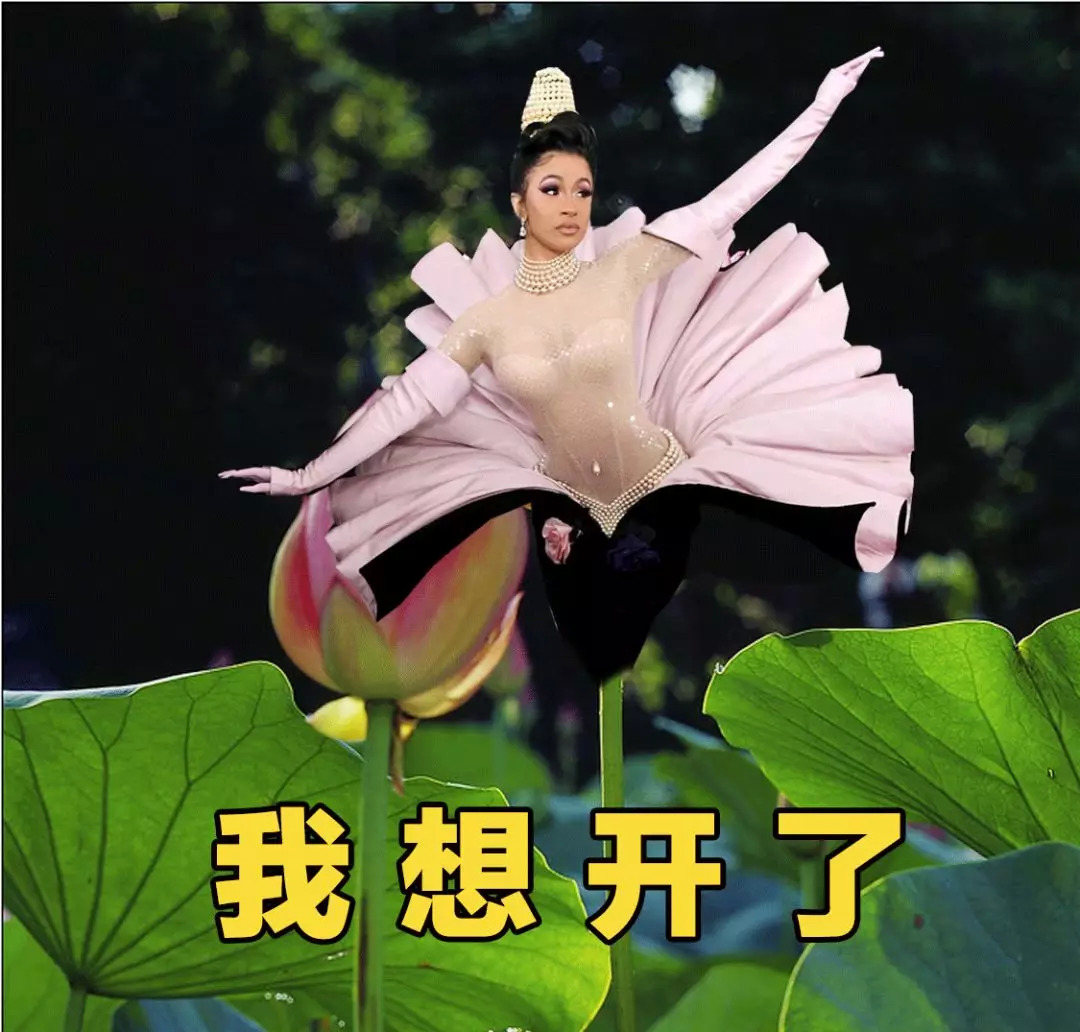 牛本山后继有人｜一个做过脱衣舞娘，唱得了Rap的小品演员CardiB