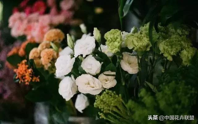 开花店一个月可以挣多少钱,北京开花店一年能挣多钱