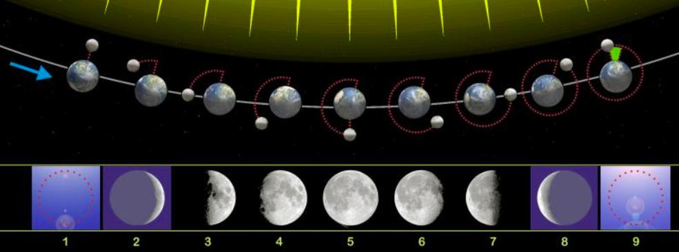 春节的日子是按照什么决定的,春节是按照什么来确定日子