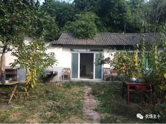 总共花了不到700元改造的废弃小院,花4万改造房子