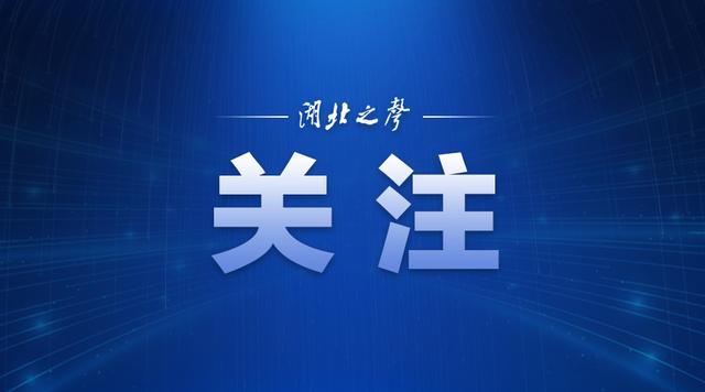家里没菜可以买什么菜,家里没菜了要不要下去买