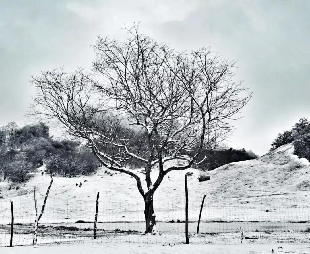 成都周边冰雪游攻略一日游推荐,成都周边冰雪旅游