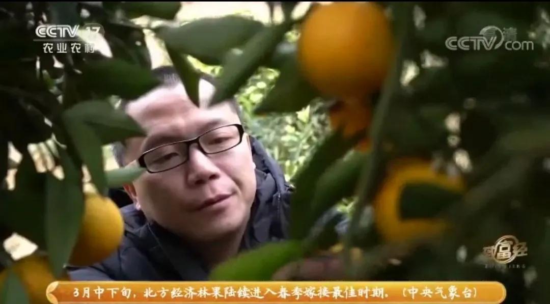 湘潭易湘华,湘潭县易湘华