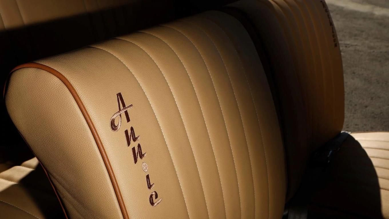 甲壳虫安妮视频,甲壳虫安妮后续