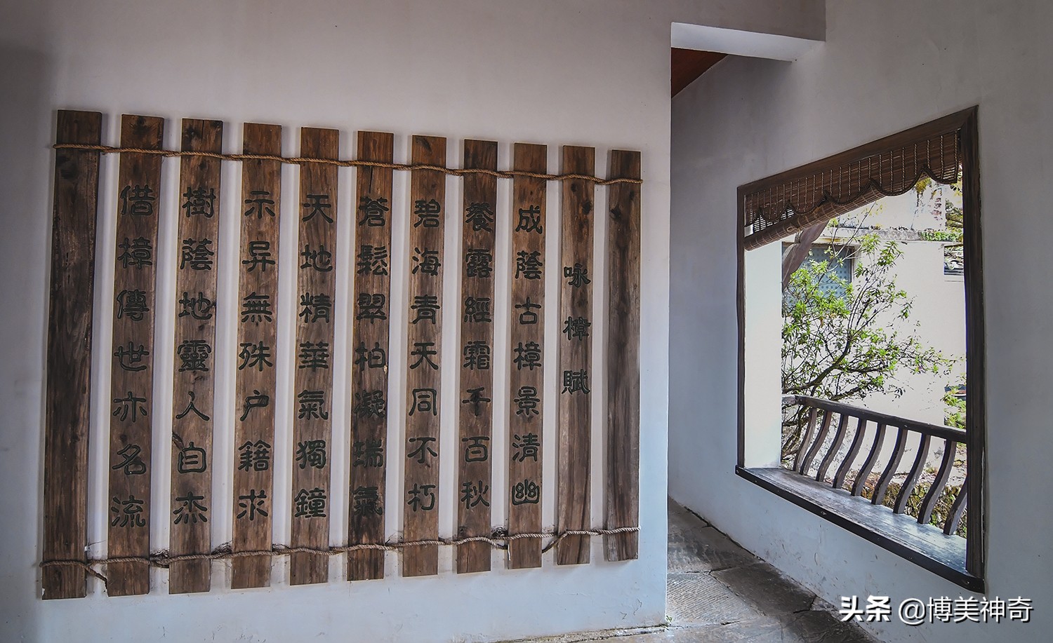 都知严田有棵救皇帝的樟王，却不明那七星伴月是何意，一图见真相