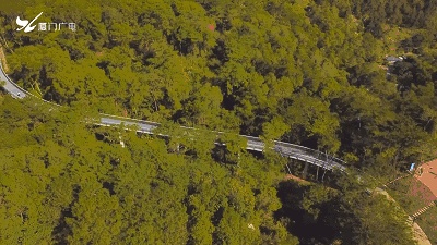 春节厦门自由行5日游攻略,自由行攻略厦门旅游景点