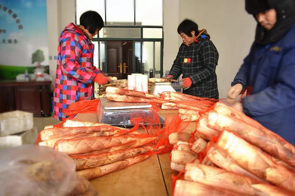 临安新鲜竹笋哪部分能吃,临安笋能生吃