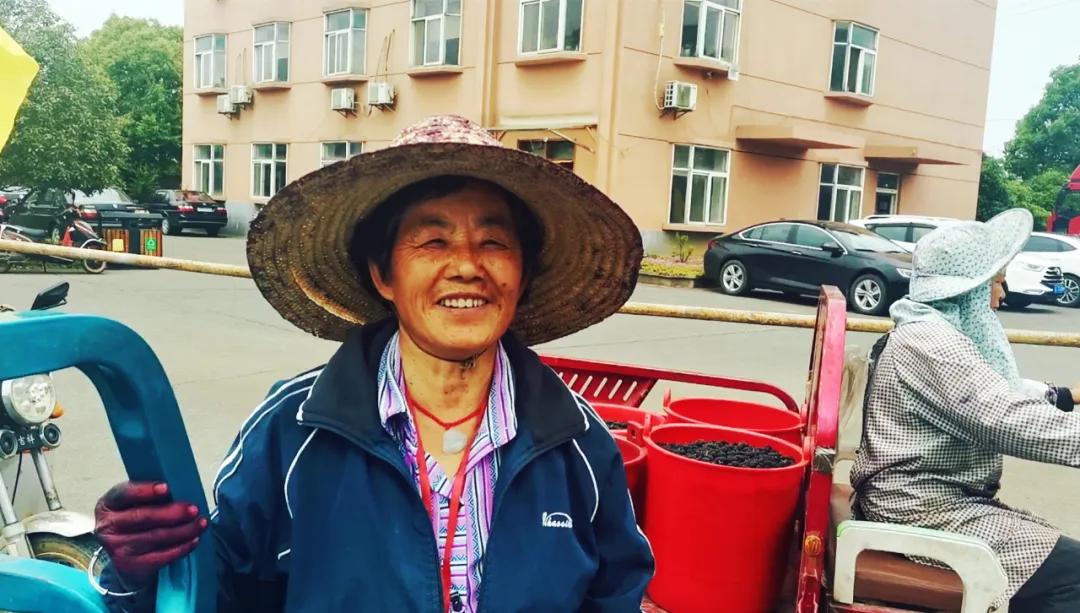 东方紫酒详细介绍,东方紫酒新国粹