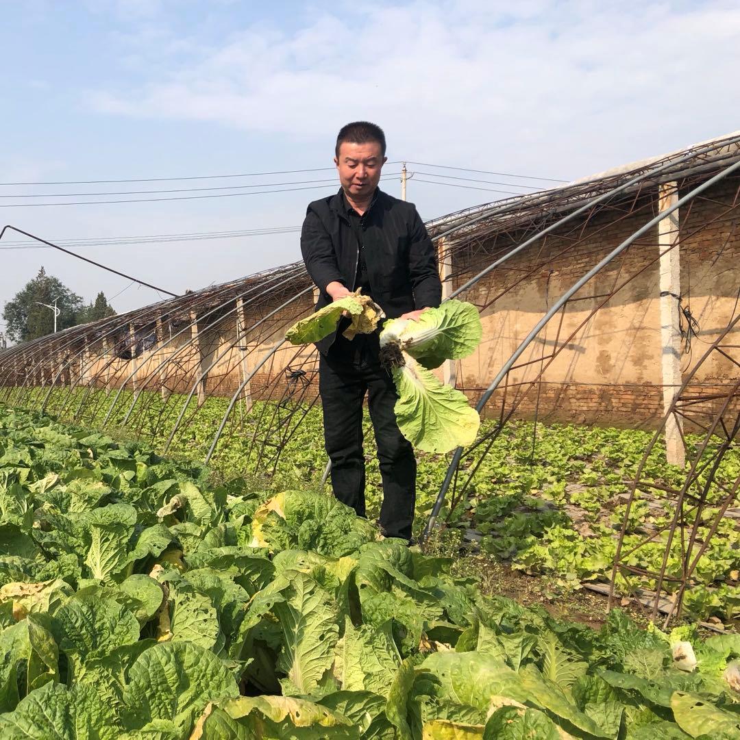 山西省“百佳高素质农民”樊建兵：村民致富的领路人