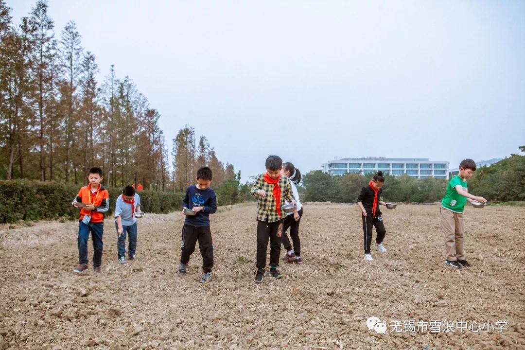 翻地、播种…无锡老小将课堂搬到了田间地头