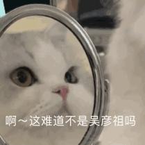 表情包想揍你一顿,表情包讨打