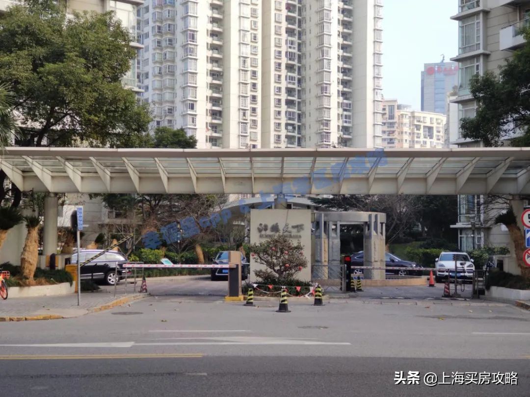 上海洋泾菊园实验学校录取率,洋泾菊园实验学校最新评价