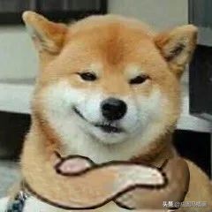 ps插画基础教程,ps插画零基础入门流程