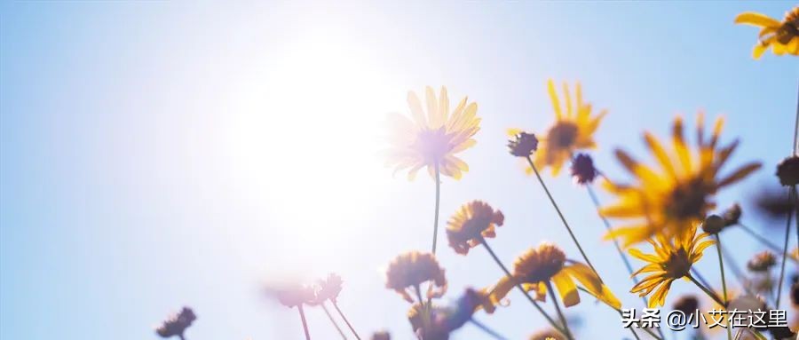 预防hiv最正确的方法,预防hiv母婴传播的有效措施