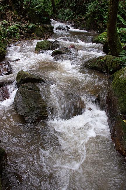 溪水潺潺心旷神怡,美景溪水潺潺