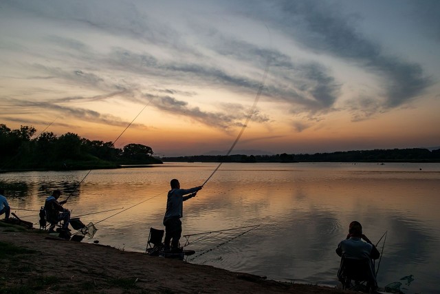 钓鱼手肘痛是什么原因,钓鱼为什么手臂疼痛