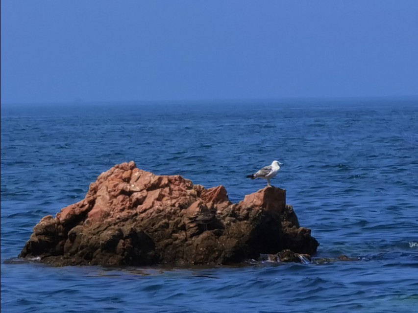 济南到荣成三日游路线规划,济南至荣成高铁时刻表