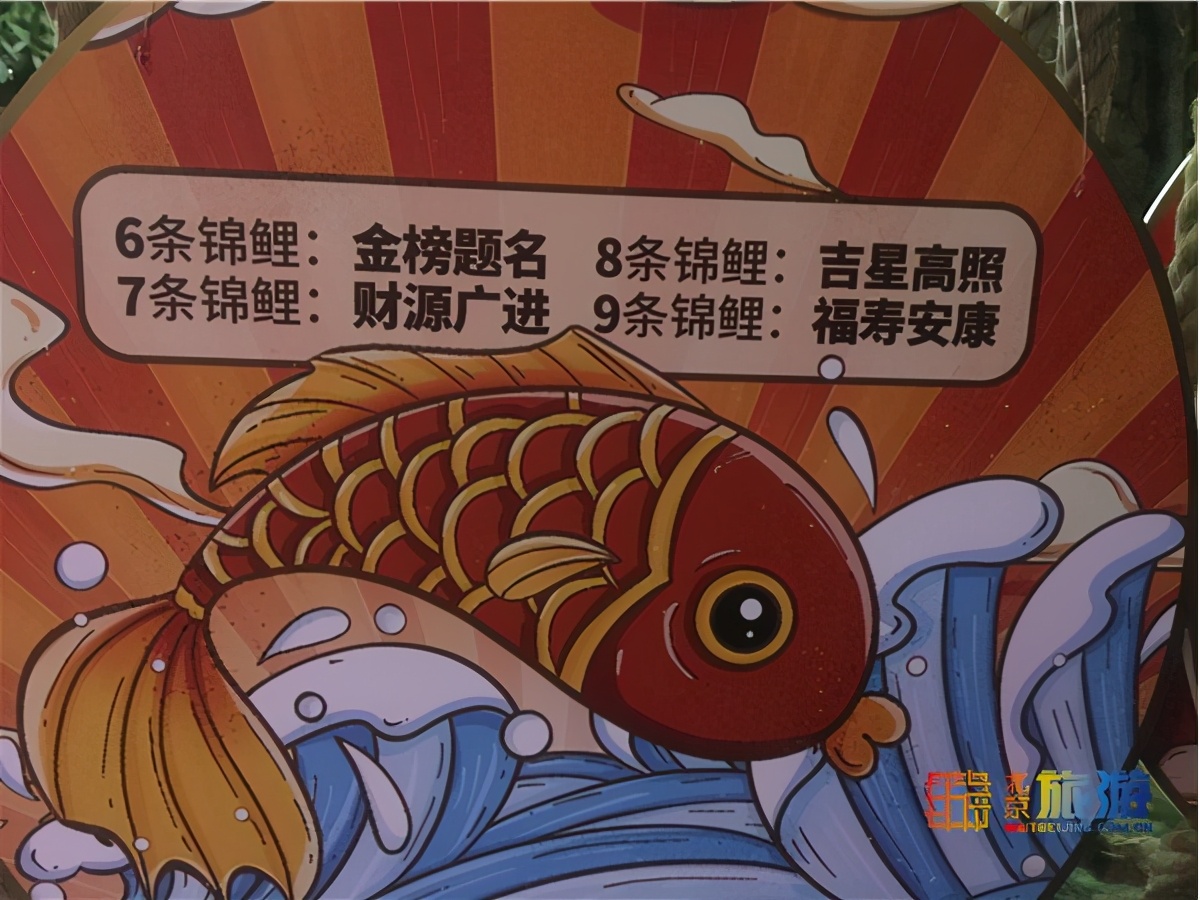 北京海洋馆超大锦鲤,北京海洋馆锦鲤