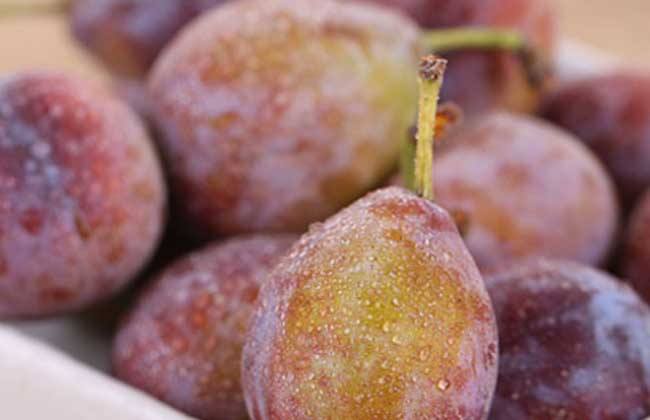 西梅什么时候吃通便最好,新鲜西梅怎么吃通便最快