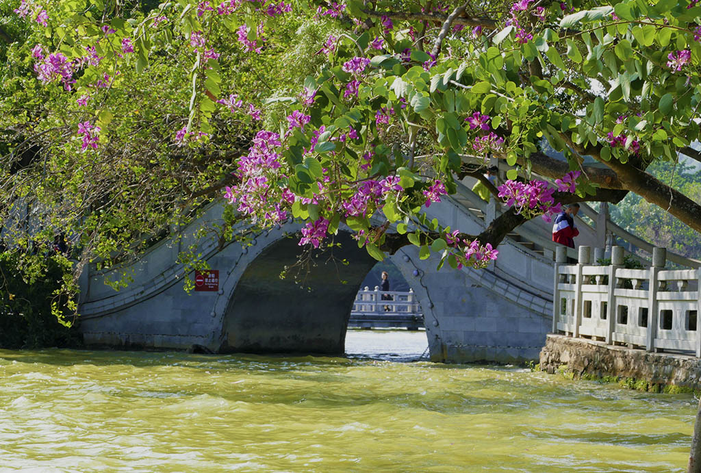 惠州西湖苏东坡小妾墓,惠州西湖和苏东坡有什么关系