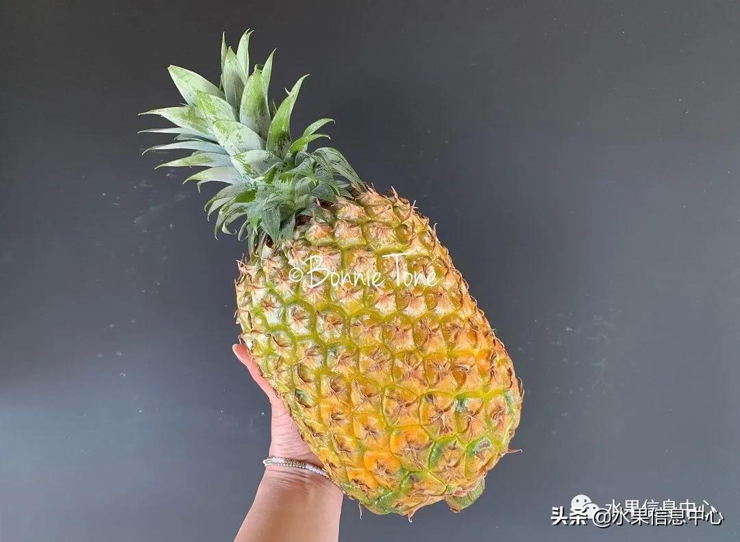 日本进口的菠萝,日本菠萝