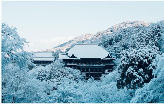 来到日本不能错过章鱼小丸子,来东京不能错过的地方