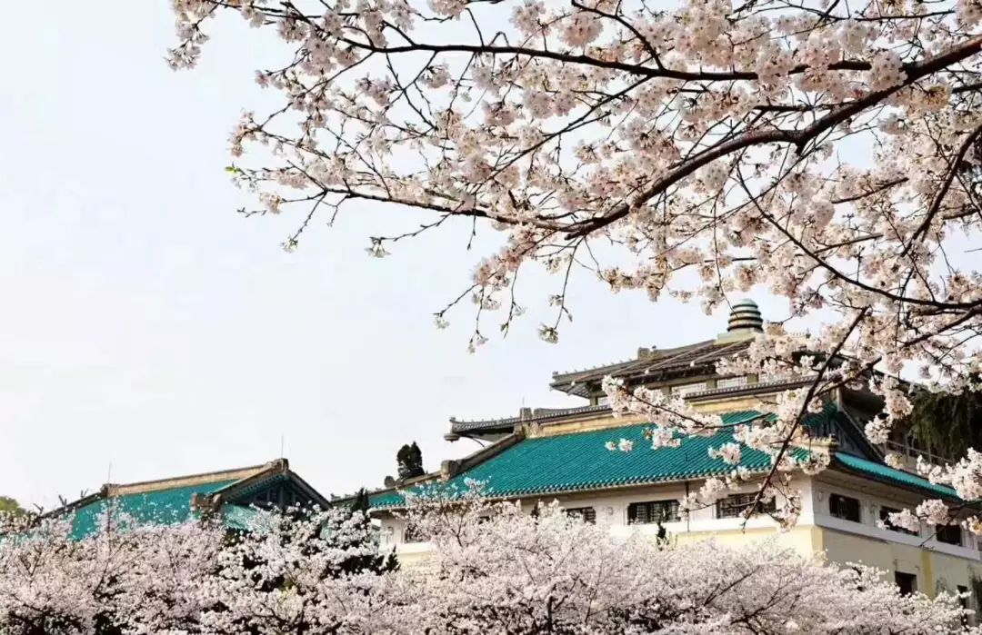 在武汉生活的100条“*规则潜**”，正宗的武汉人也未必知道