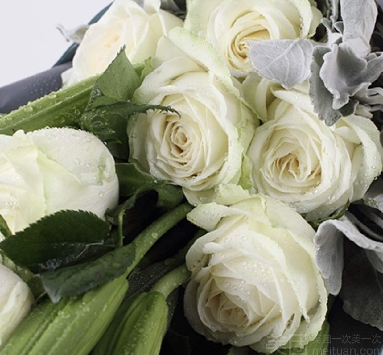 玫瑰可不止有红色的,玫瑰花有几种颜色几种名字