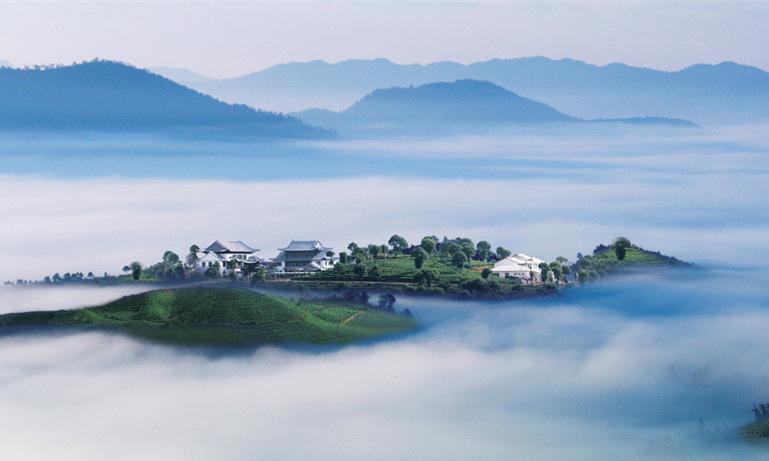 普洱市茶叶和咖啡产业中心,云南普洱咖啡产区