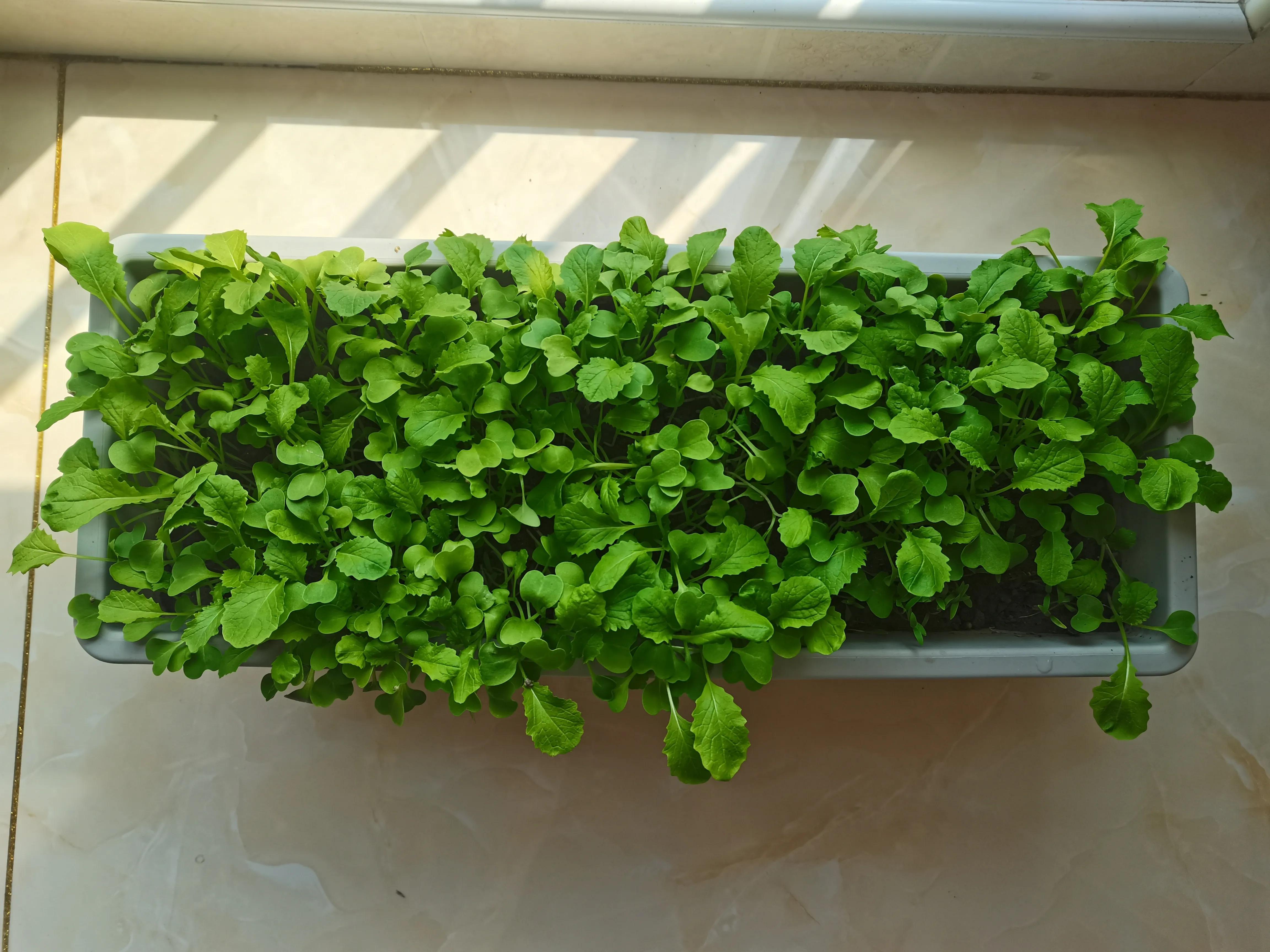 不要放弃农村的宅基地,不要放弃农村自己的宅基地