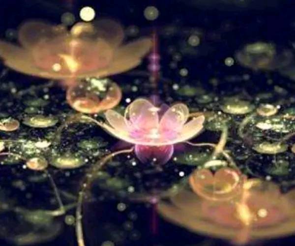 为啥经常梦到去世的人,为什么经常梦到死去的人又活了