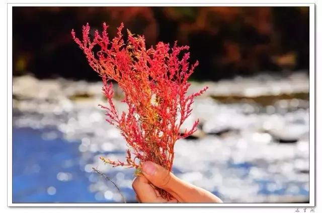 带你去看浩瀚宇宙,带你去内蒙古赤峰