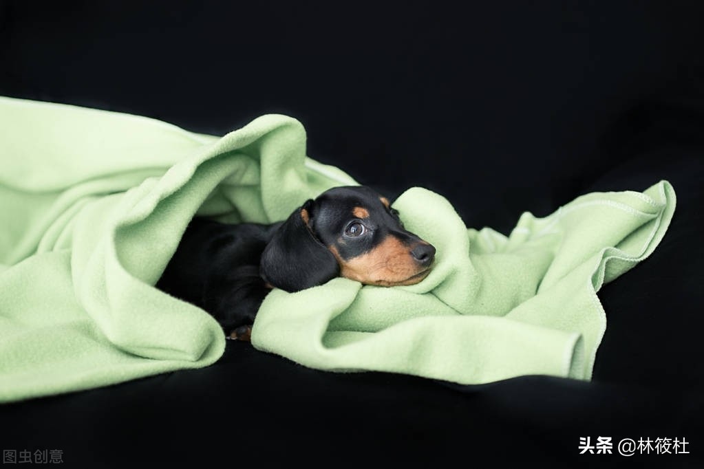 旧衣服改造100种方法大全,如何改造旧衣服