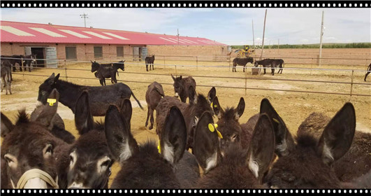 投资目的地排行,新手投资创业布局