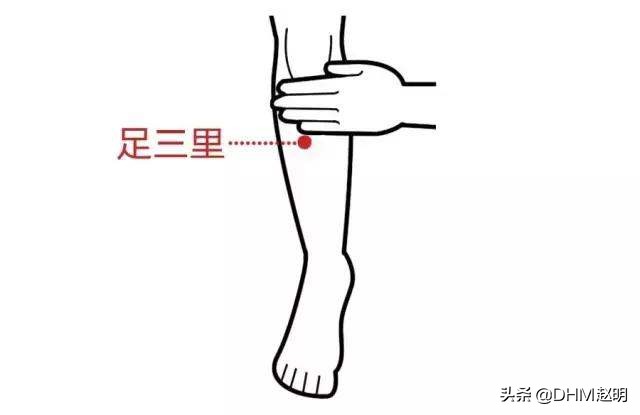 胃动力不足的症状表现吃什么调理,孩子胃动力不足怎么调理改善