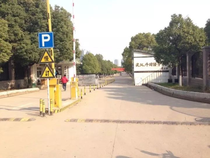 武汉中学排名前十的学校,武汉最有气势的小学