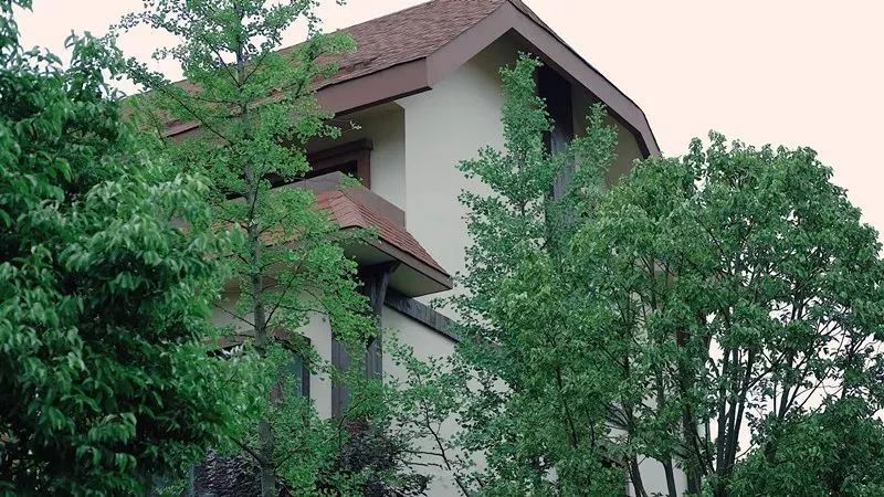 不当环球小姐，她跑到深山，种菜、调香，过上佛系人生