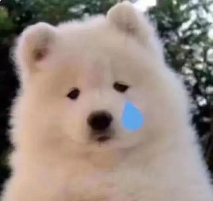 柳岩推荐韩国痛经药,欧阳娜娜推荐的祛痘膏链接