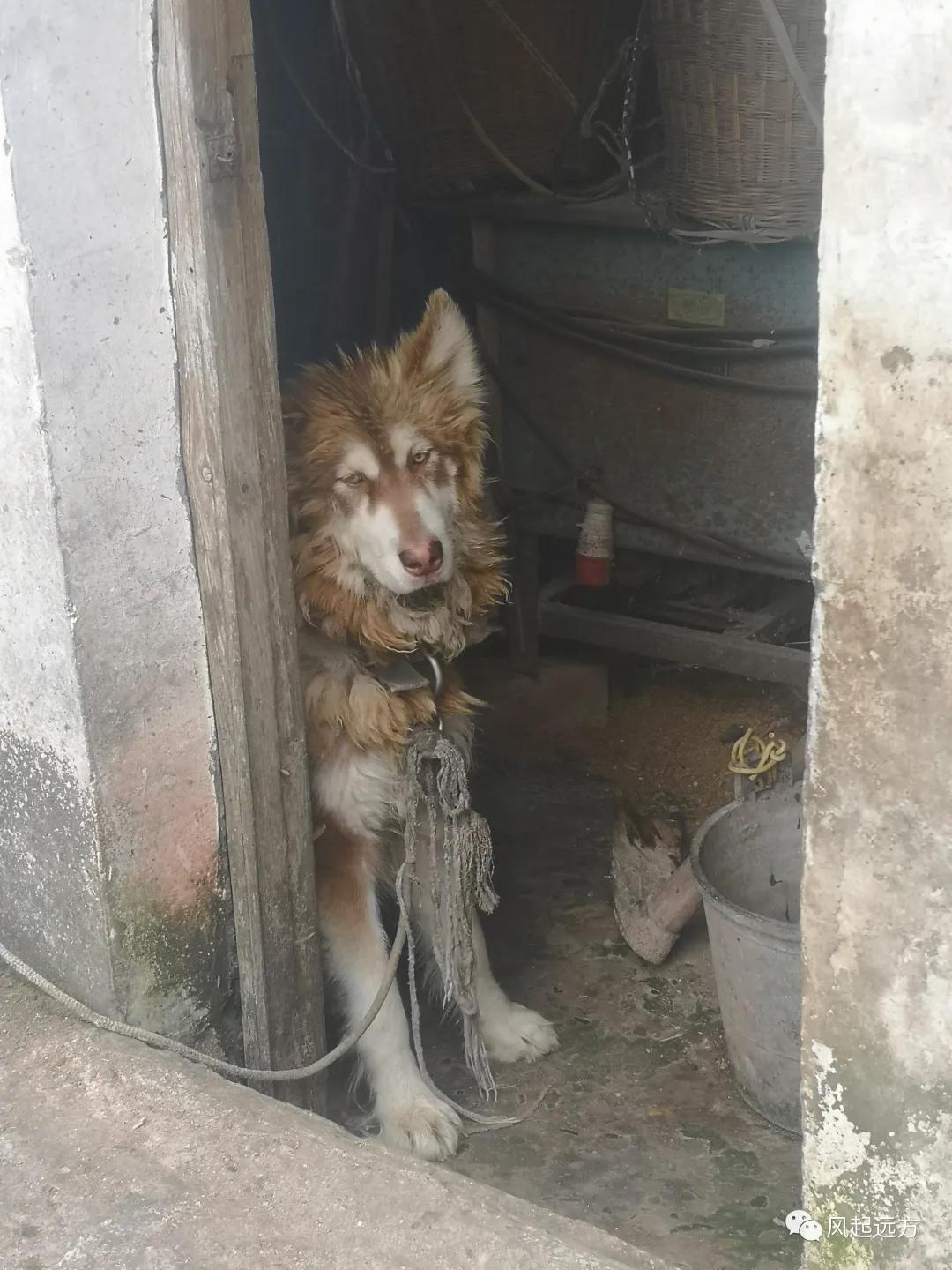 西流沱古镇游玩攻略,西行纪攻略