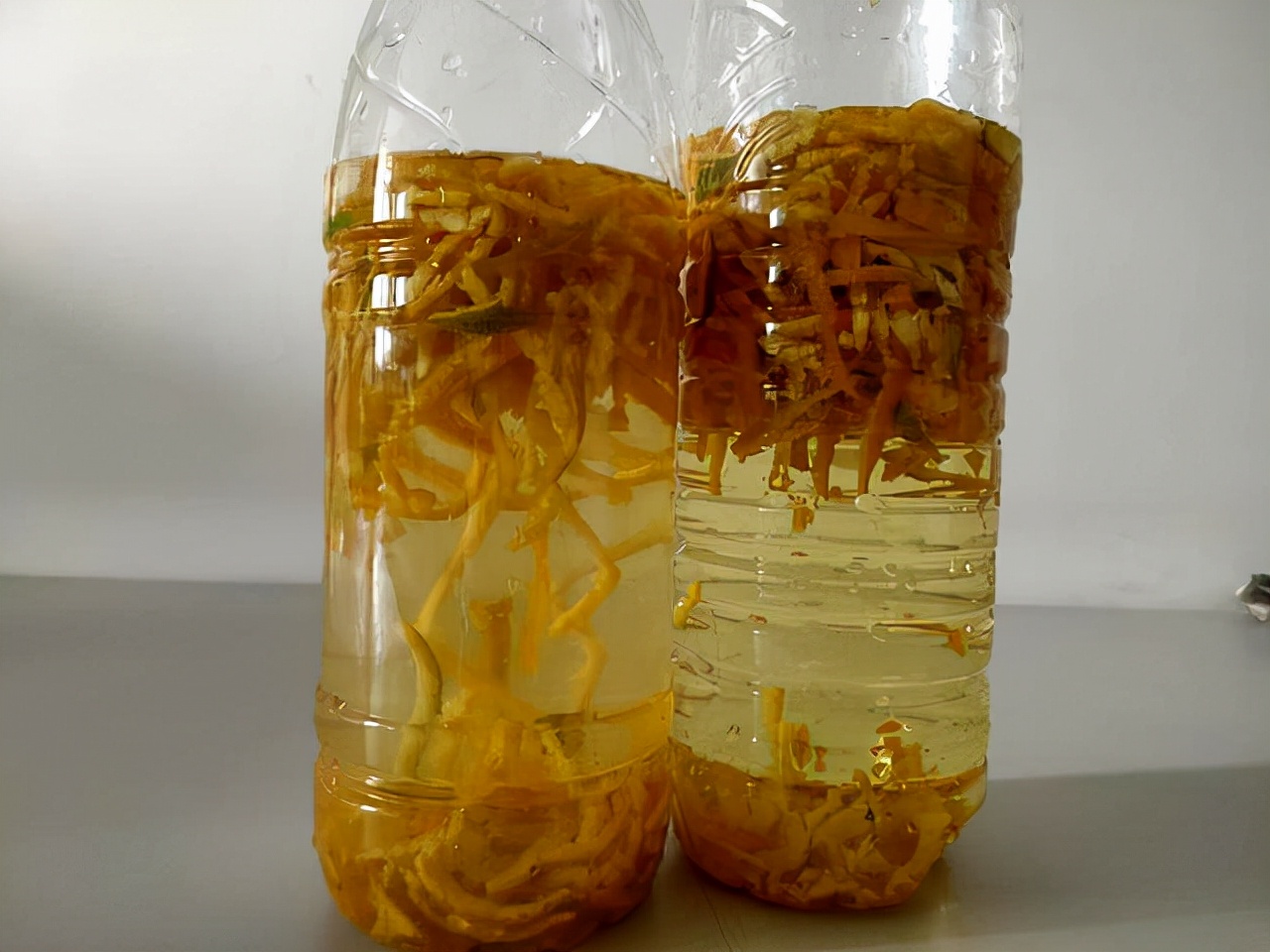 家庭养花的垃圾处理,垃圾养花有哪些好处